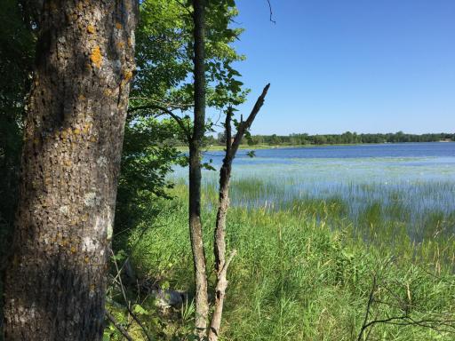 Tract 1 Lower Larson Lake Road NW, Hackensack, MN 56452