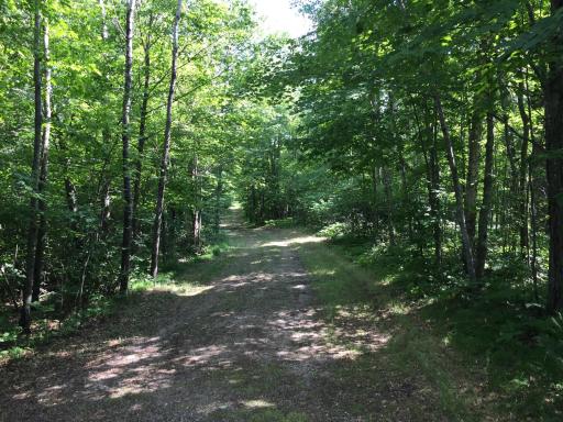 Tract 1 Lower Larson Lake Road NW, Hackensack, MN 56452