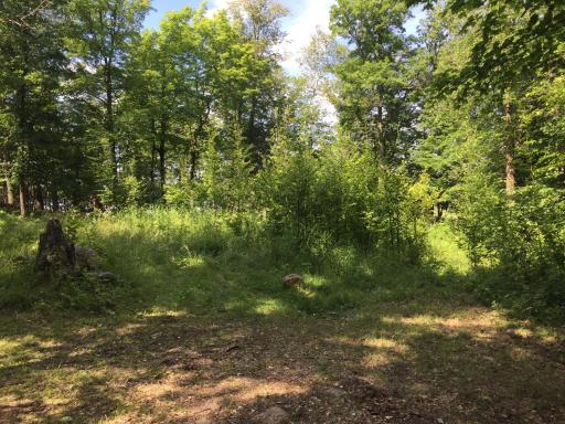 Tract 1 Lower Larson Lake Road NW, Hackensack, MN 56452