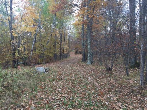 Tract 1 Lower Larson Lake Road NW, Hackensack, MN 56452