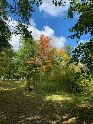 Tract 1 Lower Larson Lake Road NW, Hackensack, MN 56452