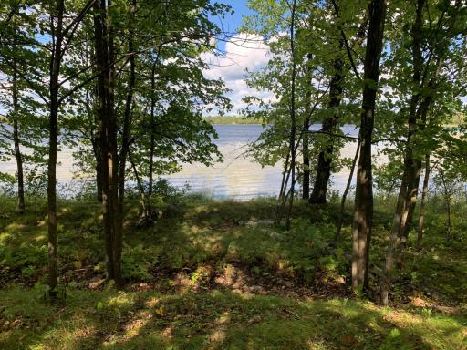 Tract 1 Lower Larson Lake Road NW, Hackensack, MN 56452