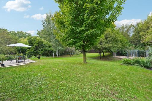 48-web-or-mls-W10282 County Road Ff-S2909-048.jpg