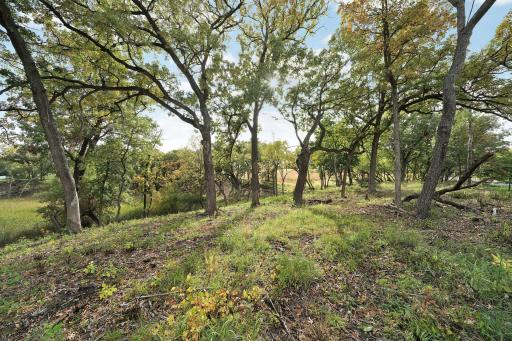 9716 Oxborough Road, Bloomington, MN 55437
