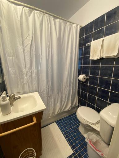 1253 6th Avenue SE, Rochester, MN 55904