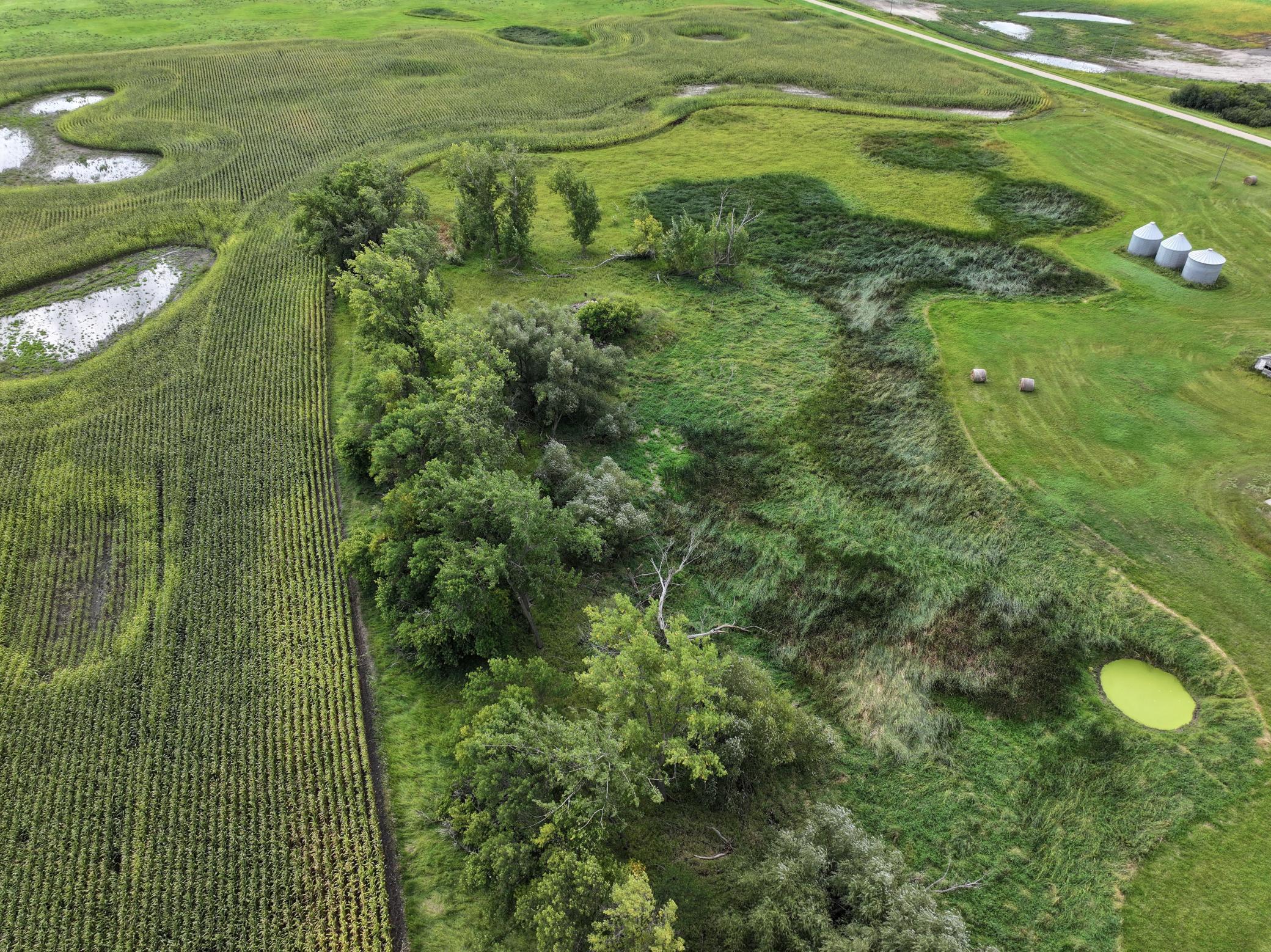 DJI_20260805173745_0562_D.JPG