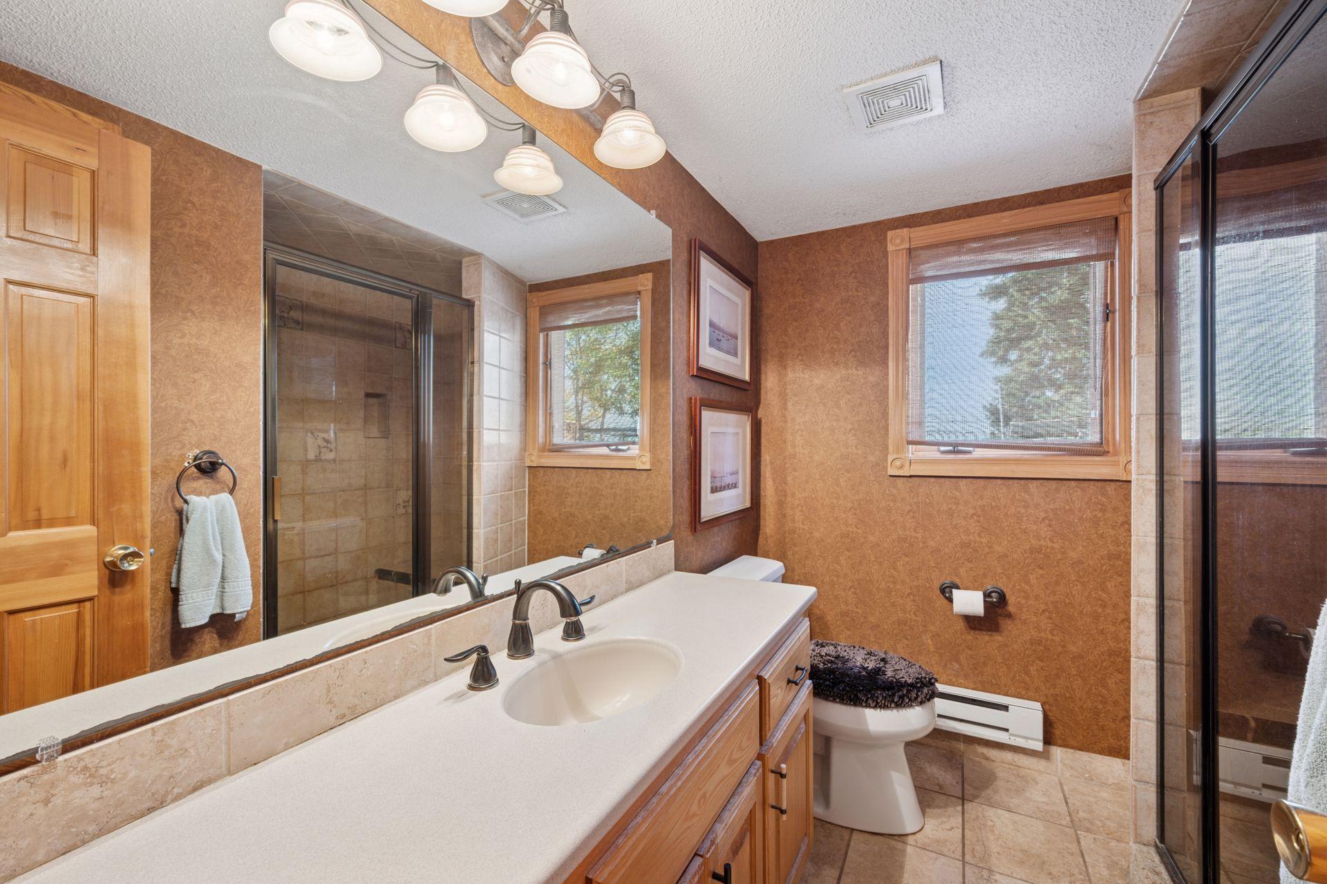 Basement Bathroom