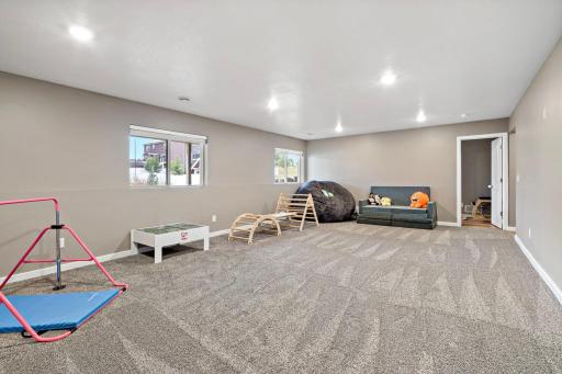 Spacious Lower level family room or a great kids area to run and play!