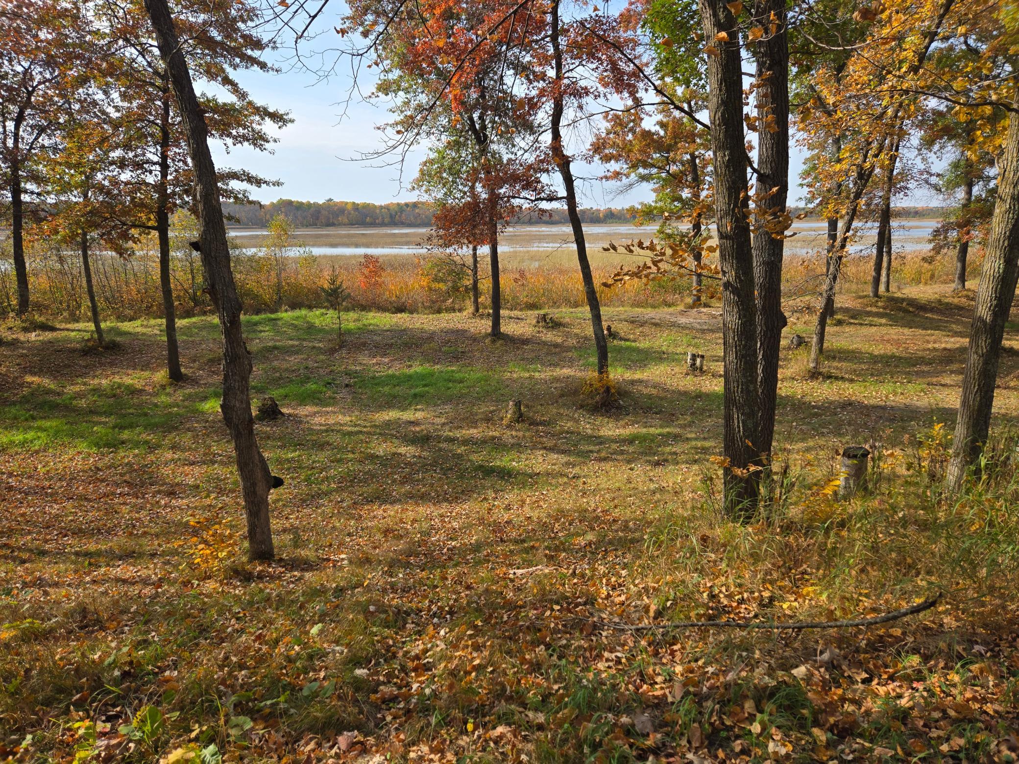 Lake view