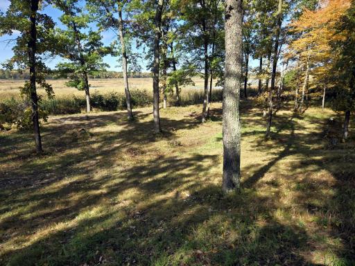 24787 Garden Lake Road, Nisswa, MN 56468