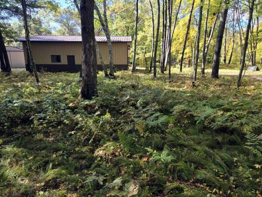 24787 Garden Lake Road, Nisswa, MN 56468