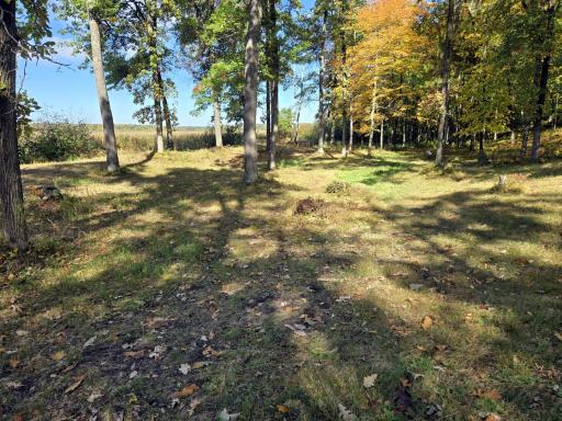 24787 Garden Lake Road, Nisswa, MN 56468