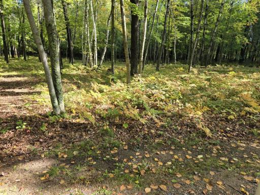 24787 Garden Lake Road, Nisswa, MN 56468