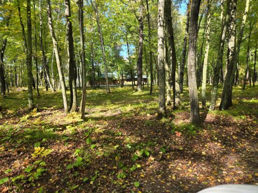 24787 Garden Lake Road, Nisswa, MN 56468
