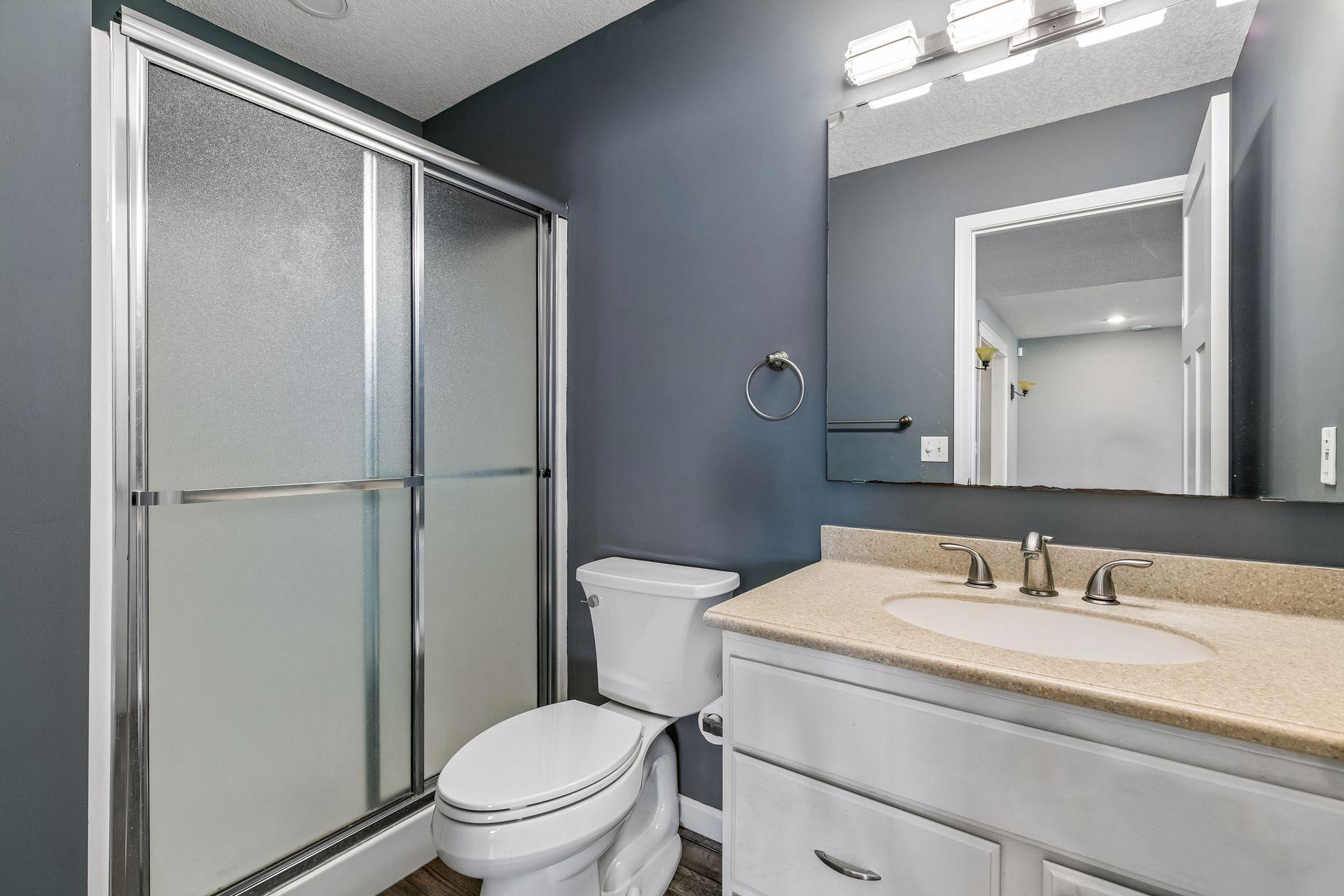 Lower Level 3/4 Bathroom