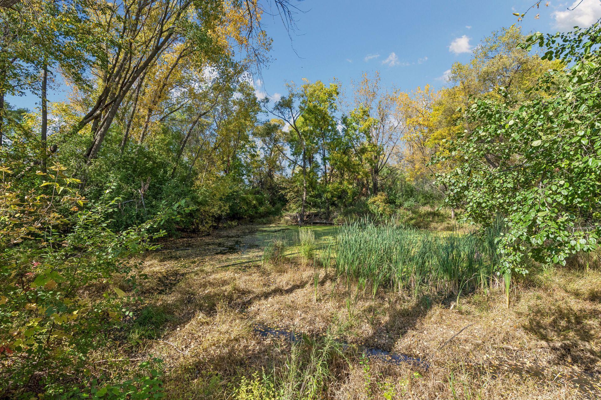 Pond Views!