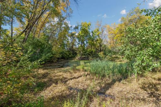 17782 Javelin Court, Lakeville, MN 55044