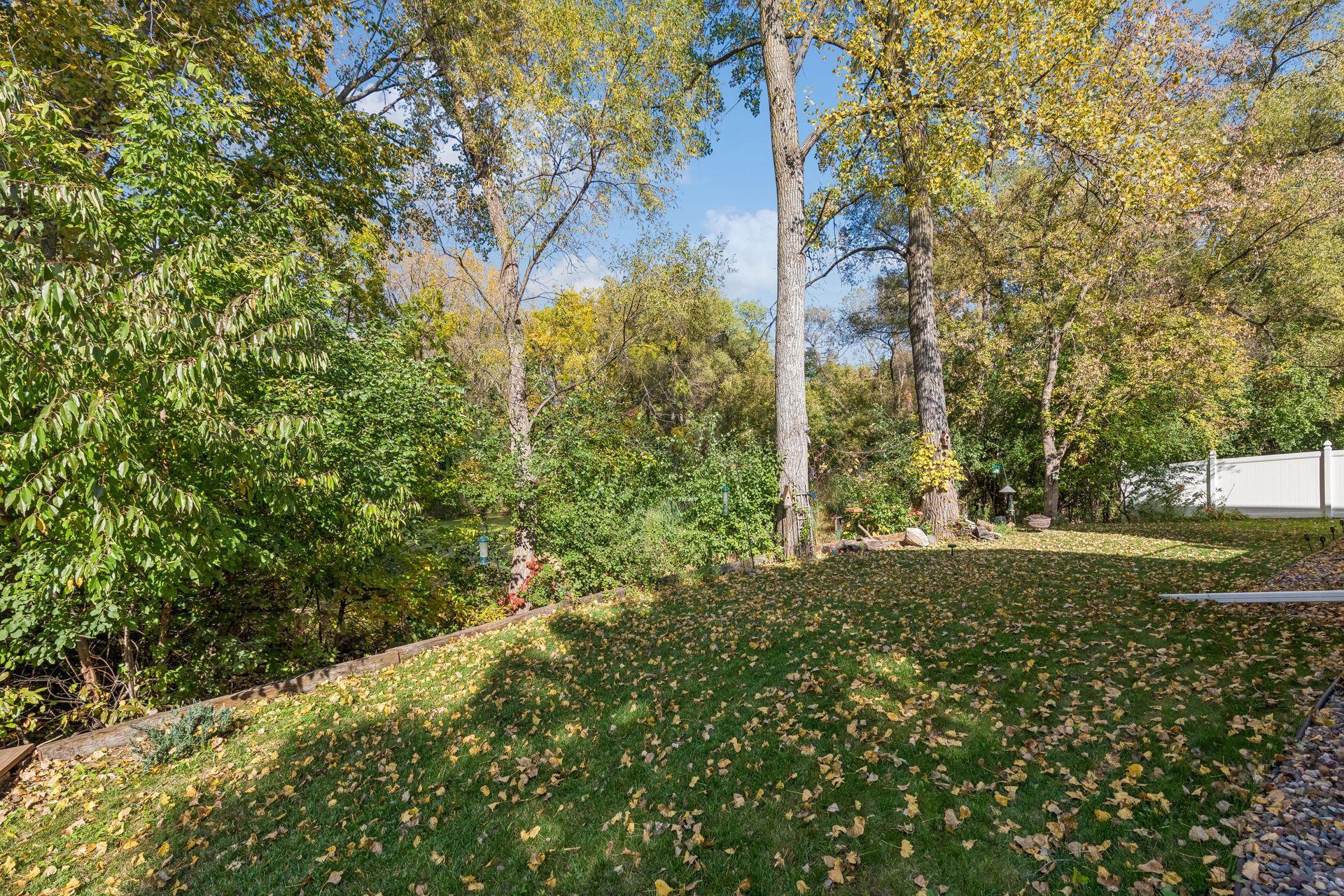 Wooded Backdrop!