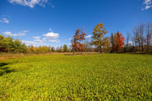 W2621 Goetzke Road, Prentice, WI 54556