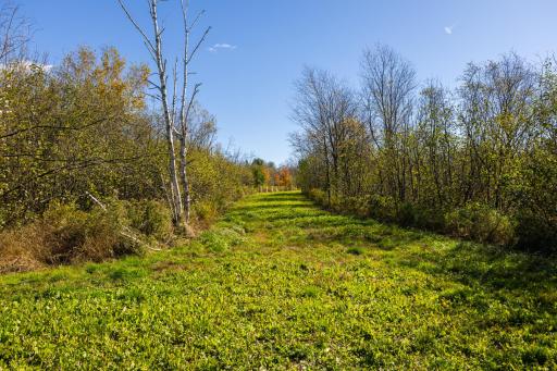 W2621 Goetzke Road, Prentice, WI 54556