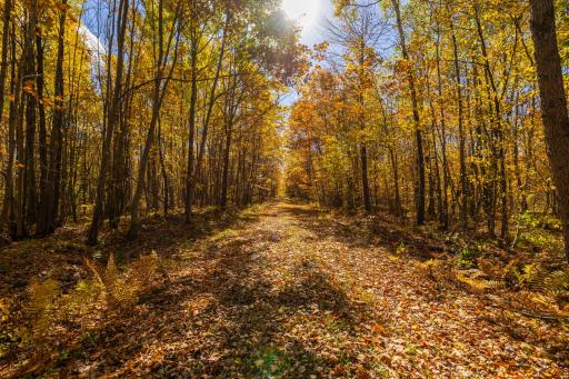 W2621 Goetzke Road, Prentice, WI 54556