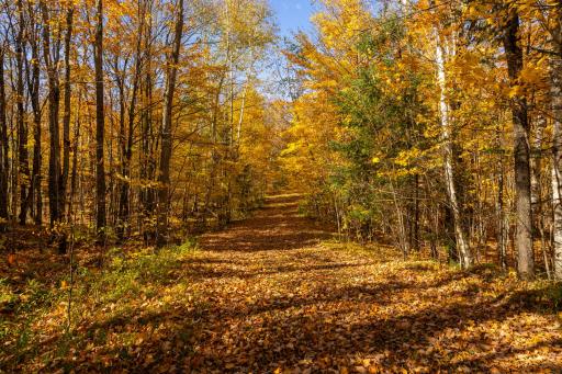 W2621 Goetzke Road, Prentice, WI 54556