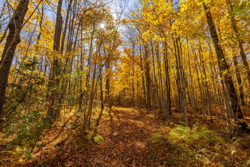 W2621 Goetzke Road, Prentice, WI 54556