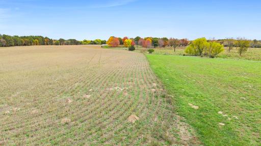 A closer look at the established agricultural fields, offering productive land for hay production and farming activities