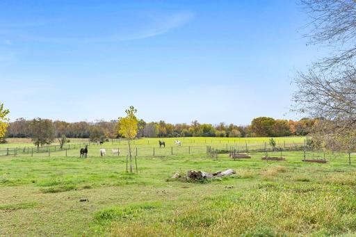 Spacious fenced pastures provide plenty of room for horses and livestock to graze and enjoy the open countryside