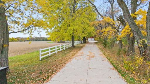 A tree-lined paved driveway with white fencing provides an attractive entrance to the existing homesite and surrounding acreage