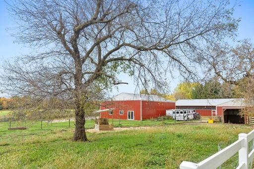 Mature trees offer a scenic backdrop to the existing barns and livestock facilities, adding to the property's rural character