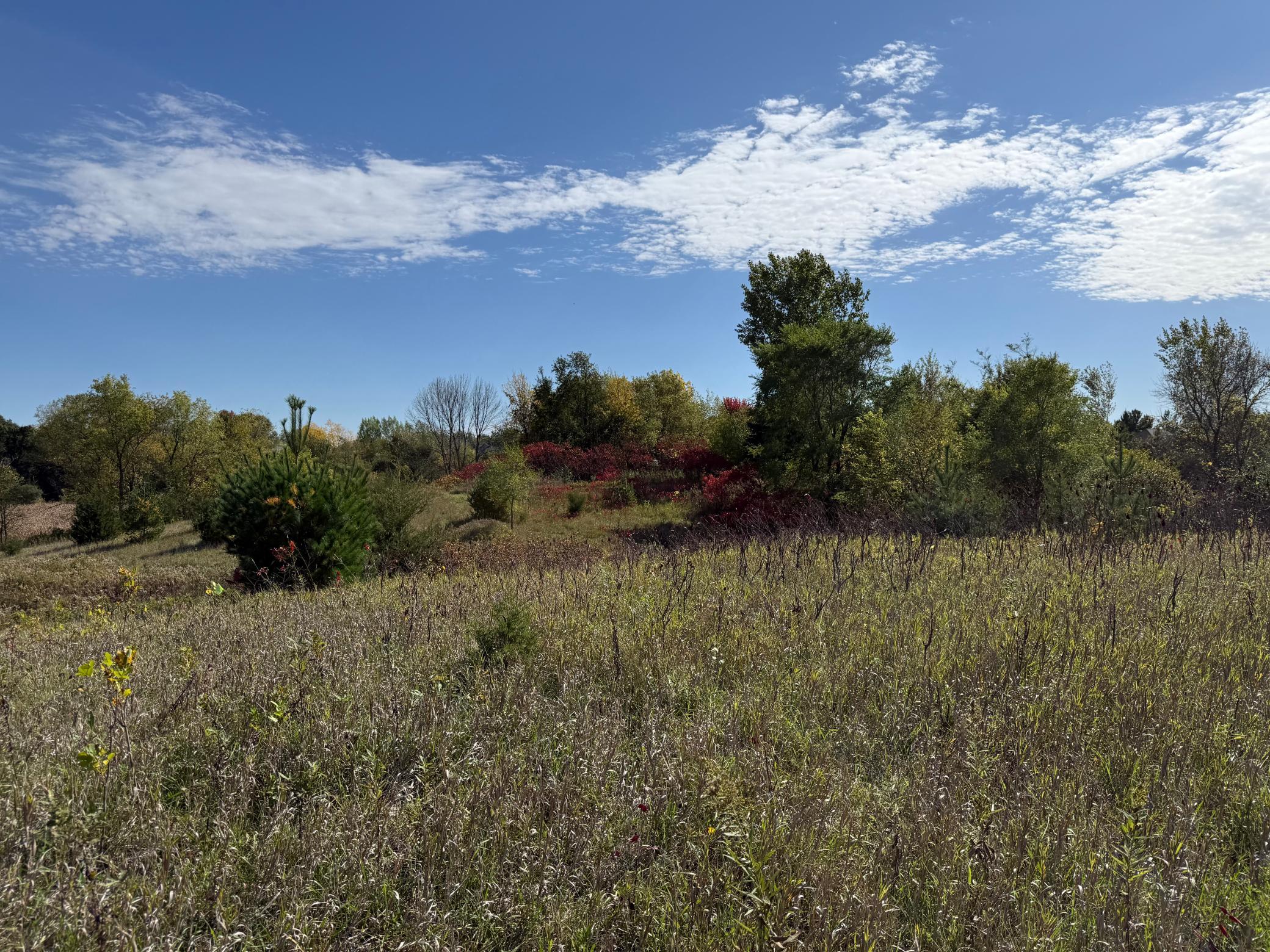Property photo for XXX Canby, Webster, MN 55088