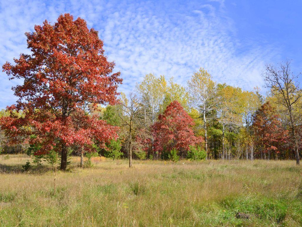 Property photo for XXX Grant Street, Park Rapids, MN 56470