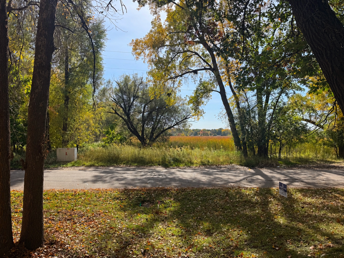 View across the street of wetlands and West Arm.