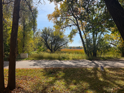 View across the street of wetlands and West Arm.