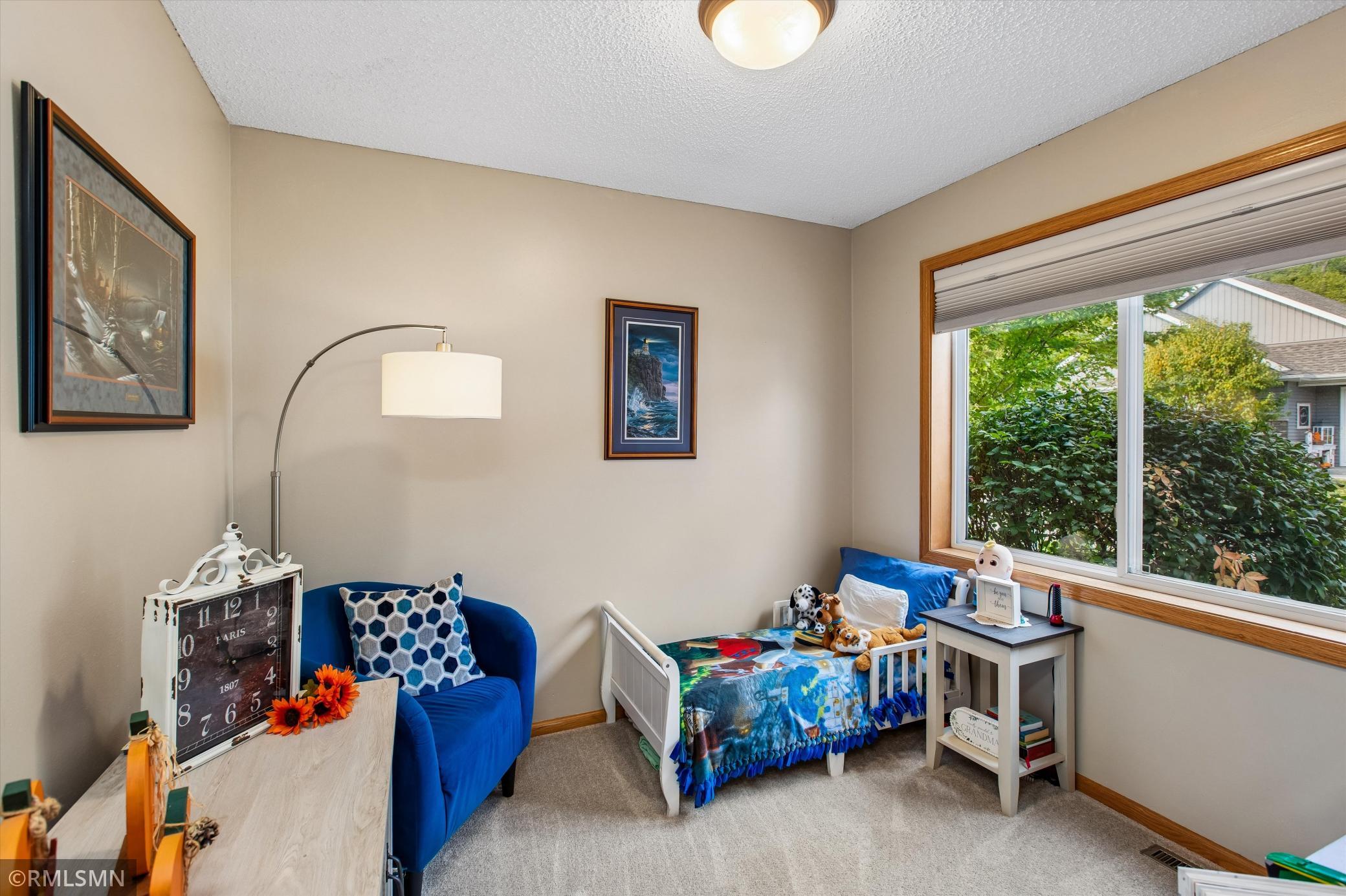 Office/Den with barn style door
