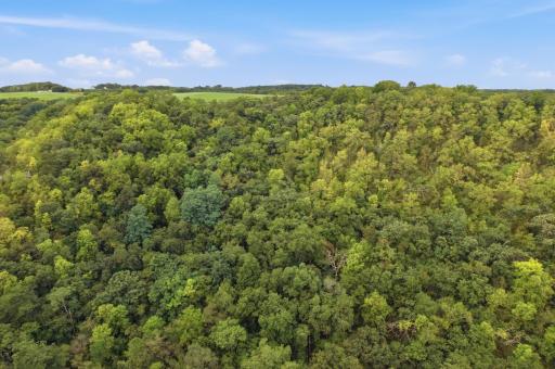 1473 Gilmore Valley Road, Winona, MN 55987