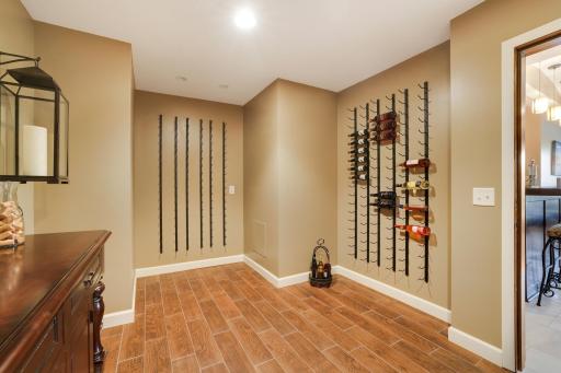 8710Photography-Web-Friendly-13187-Drumcliffe-Path-Rosemount-MN-55068-69.jpg