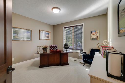 8710Photography-Web-Friendly-13187-Drumcliffe-Path-Rosemount-MN-55068-36.jpg