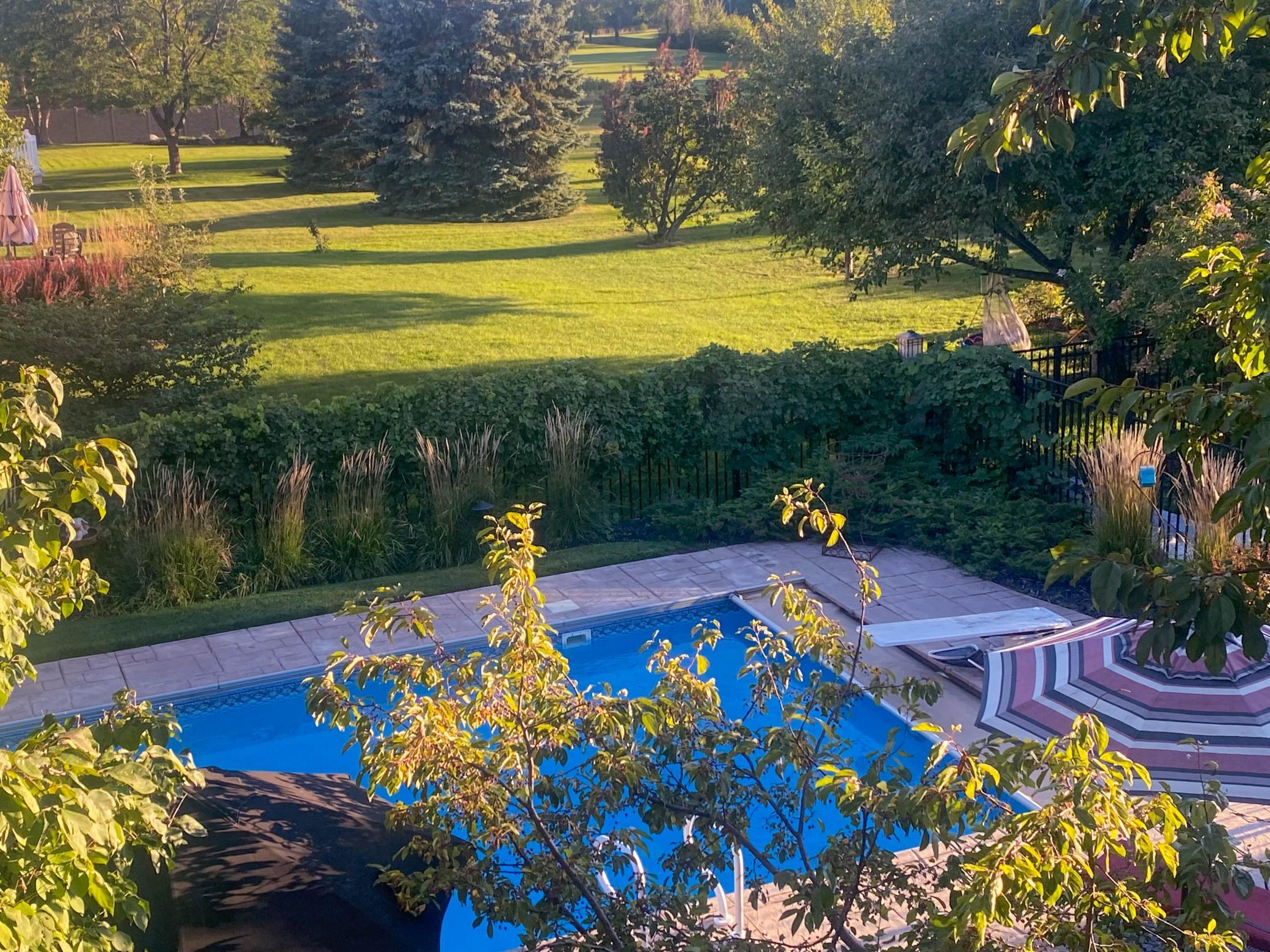 Client provided photo from this past summer - check out the greenery!