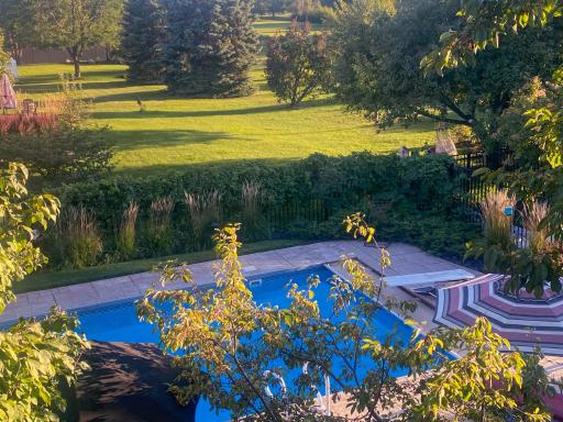 Client provided photo from this past summer - check out the greenery!