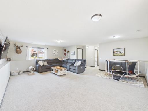 1111 7th Avenue NW, Rice, MN 56367