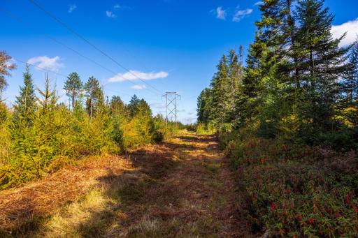 4325 Cr-11, Barnum, MN 55707