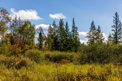 4325 Cr-11, Barnum, MN 55707