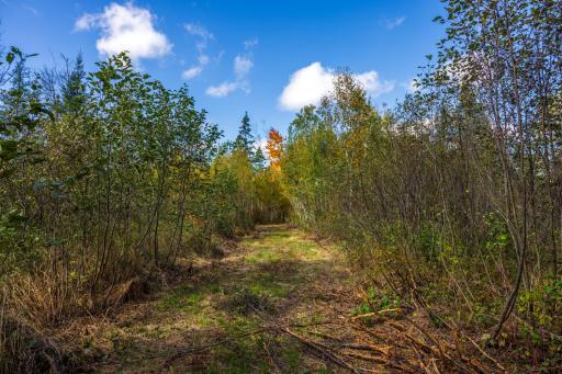 4325 Cr-11, Barnum, MN 55707