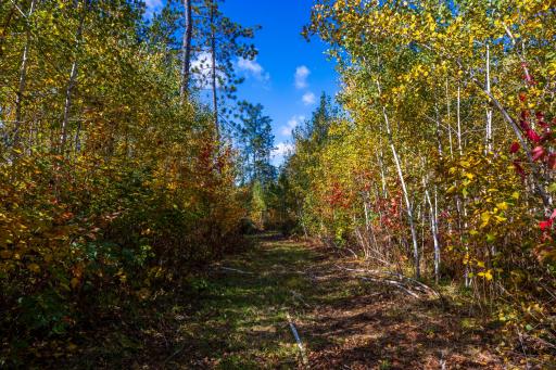 4325 Cr-11, Barnum, MN 55707
