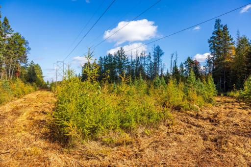4325 Cr-11, Barnum, MN 55707