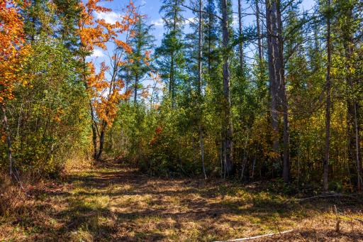 4325 Cr-11, Barnum, MN 55707