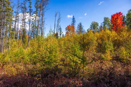 4325 Cr-11, Barnum, MN 55707