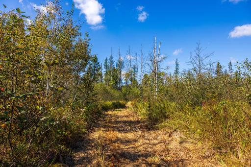 4325 Cr-11, Barnum, MN 55707